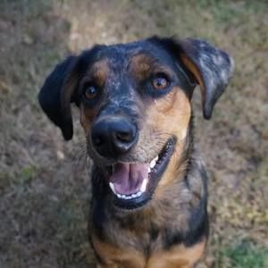 Meet your Posher, Veronica